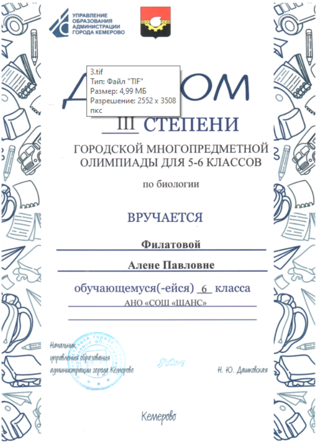 99233249.png